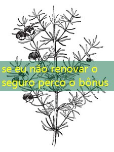 se eu não renovar o seguro perco o bônus